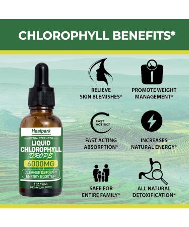Chlorophyll Liquid Drops - Natural Energy Booster & Immune Support - Internal Deodorant & Detox - Fast Absorption - Vegan & Non-GMO - 120 Servings - 6000MG - Buy Online on GoSupps.com
