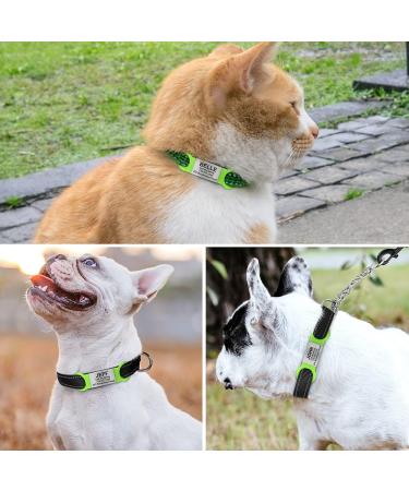 Tagme 2 Pack Engraved Dog Tags for Small & Medium Breeds - Customizable Green ID Tags for Dogs & Cats - Buy Online on GoSupps.com