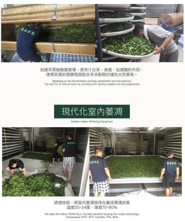 Taiwan unique tea Qilai Mountain Specially Selected High Cold Green Oolong Tea 150g*4 - Buy Online on GoSupps.com