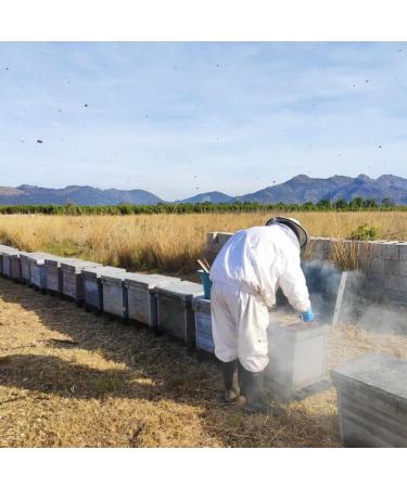 L'abella Mel - Lavender honey - Natural honey harvested in Spain (3 kg) - Buy Online on GoSupps.com