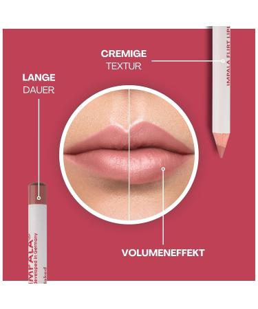 Flirt Matt Lip Liner - Long-Lasting Waterproof Lip Liner in 118 Nude | International Shipping Available - Buy Online on GoSupps.com