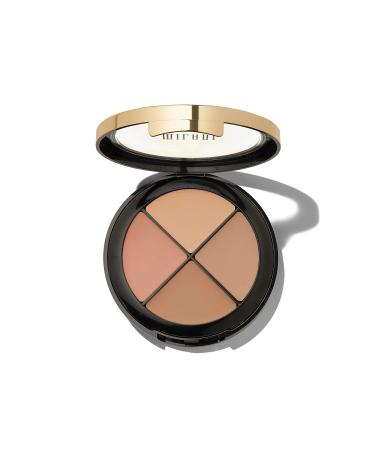 Conceal + Perfect All-in-One Palette - Light To Medium | Brighten & Perfect Your Skin - Buy Online on GoSupps.com