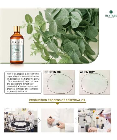 HEYTREE Eucalyptus Essential Oil 100ml - Natural Aromatherapy Oil for Shower and Bath - Strong Refreshing Scent for Diffusers - 1 Pack - Buy Online on GoSupps.com