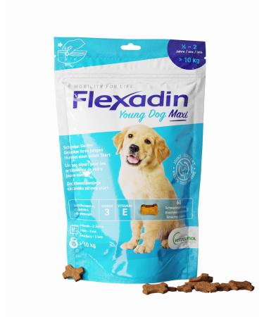 Flexadin® Young Dog Maxi | For healthy joints in young dogs from 10 kg | with glucosamine, chondroitin, omega-3, devil's claw – 60 joint treats