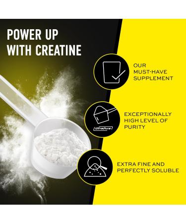 ESN Ultrapure Creatine Monohydrate 500 g / 1.1 lbs Creatine Powder 142 Servings - Vegan - Muscle Building and Recovery Supplement Made in Germany Laboratory Tested 142 Servings (Pack of 1) - Buy Online on GoSupps.com