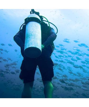 Justoop Scuba Diving BCD Tank Crotch Strap Band 2 Pack with Cam Buckles & Non-Slip Pads - Buy Online on GoSupps.com