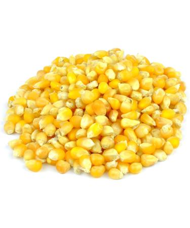 Popping Corn Kernels 3kg (BWFO) - Buy Online on GoSupps.com