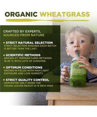 Organic Wheatgrass Capsules 1500mg | High Chlorophyll | 180 Capsules - MySuperfoods - Buy Online on GoSupps.com