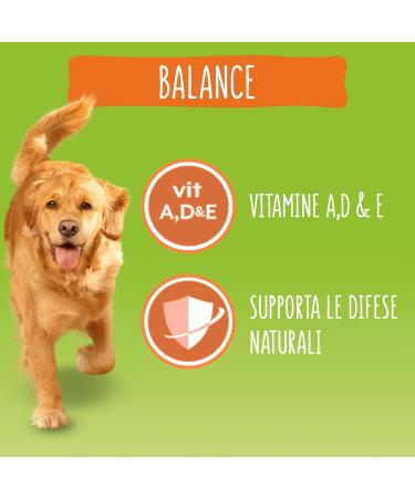 Friskies vitafit Balance Dog Food with Chicken and Vegetables 3 kg - Buy Online on GoSupps.com