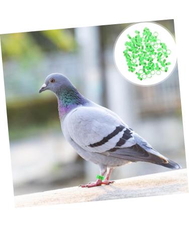 Kisangel 300 Pcs Pigeon Anklet Tag Where Pigeon Identification Ring Pigeons Leg Ring Baby Chicken 1.3X1.3CMx3pcs Greenx3pcs - Buy Online on GoSupps.com