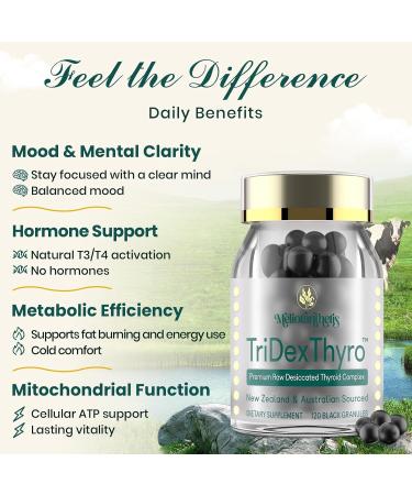 Thyroid Supplement TriDexThyro Raw Desiccated Thyroid Complex 375 mg with Bovine Porcine & Ovine 120 Capsules for Women and Men(2 Pack) 3.37 Ounce (Pack of 2) - Buy Online on GoSupps.com