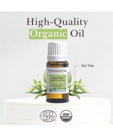 Pranarom USDA Certified Organic Tea Tree Essential Oil (15ml) 100% Pure Undiluted Therapeutic Grade from Zimbabwe for Aromatherapy Diffuser Healthy Skin & Hair Massage Relaxation 0.5 Fl Oz (Pack of 1) - Buy Online on GoSupps.com