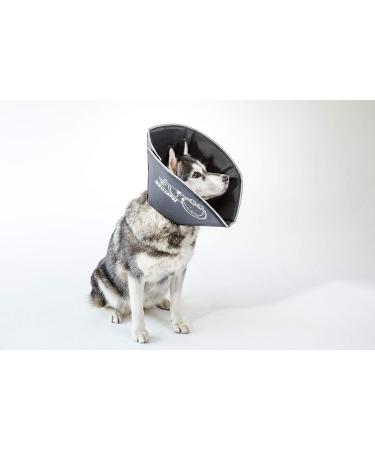 All Four Paws Comfy Cone Pet Collar - Large Black | Comfortable & Adjustable Recovery Collar for Dogs and Cats - Buy Online on GoSupps.com