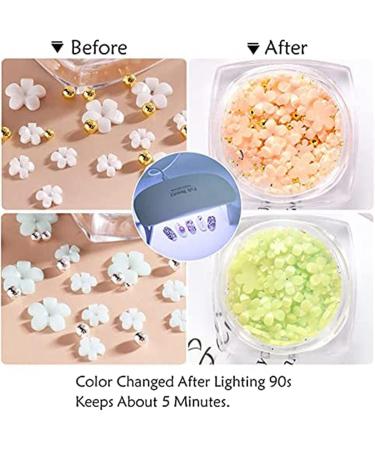 Aiwjeakh 6 Boxes of Light Change 3D Nail Flowers Accessories with Gold and Silver for Mixed DIY Jewelry Art Decorative Supplies - Buy Online on GoSupps.com