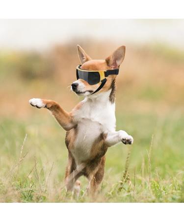 Buy UV Protection Mini Dog Sunglasses - Windproof Anti-Fog Gold - Perfect for Small Dogs - Buy Online on GoSupps.com