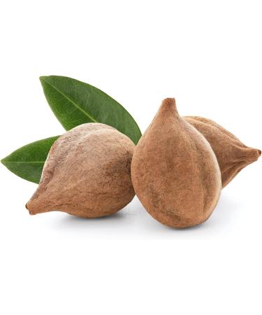 Organic Baheda Powder - 3.5oz | Bibhitaki Fruit Powder - Terminalia bellirica - Buy Online on GoSupps.com