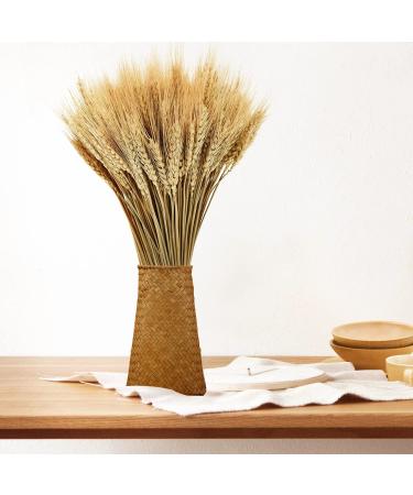 YoleShy Dried Wheat Stalks - 200 Stems Natural Wheat Decor (15.7 Inches) - Ideal for Home, Kitchen, Christmas, Wedding - 200 Pcs - Buy Online on GoSupps.com