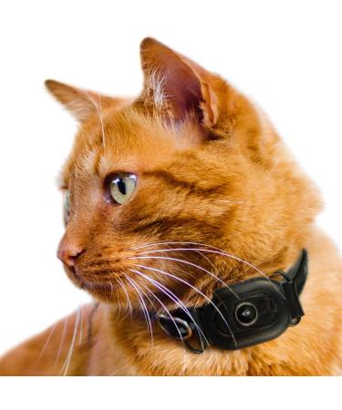 UBEE CAT GPS Tracker for cats Lightest UK tracker (23g) Unlimited Range Free & Shareable App UK Support - Buy Online on GoSupps.com