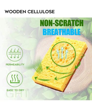 Pteanecay 32 Pack Biodegradable and Compostable Sponges Scouring Pad Palm Fiber Eco-Friendly Sponge for Kitchen Dishes Cleaning - Buy Online on GoSupps.com