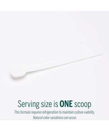 Genestra Brands HMF Intensive Powder | Probiotic Formula to Support Healthy Gut Flora | 1 Ounces Powder - Buy Online on GoSupps.com