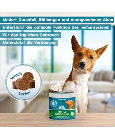 Ameizpet Probiotic Soft Dog Treats - 30 Digestive Snacks with Prebiotics for Intestinal Health | International Shipping - Buy Online on GoSupps.com