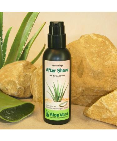 After Shave for Men - Soothing 90% Aloe Vera Formula | 125 ml | Fast International Shipping - Buy Online on GoSupps.com