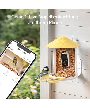 Birdfy Bird Feeder with Camera - AI Detection Video Recording & Solar Powered - Ideal for Wild Bird Feeding - Buy Online on GoSupps.com