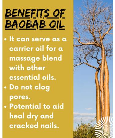 AFRIKINKY BAOBAB OIL Unrefined Cold Pressed Premium Fresh (50ml) 100% Pure For Skin Hair Nails Massage | Africa's Best Beauty Oil - Buy Online on GoSupps.com