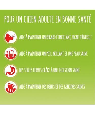 FRISKIES Active Beef Dog Food 3KG - Buy Online on GoSupps.com