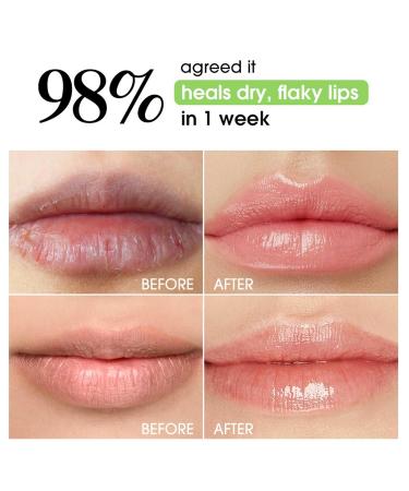 2 Pcs Aloe Vera Lip Balm Long Lasting Hydrating Fast-Acting Nourishment Non-Greasy Formula Ideal for Chapped Dry Cracked or Damaged Lips Restore Moisture & Softness to Dry Lips - Buy Online on GoSupps.com