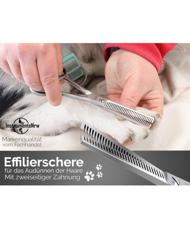 Premium Solingen Effilier Scissors for Dogs & Cats - Thinning Fur Scissors Made in Germany | 15.24 cm Sharp Cut - Buy Online on GoSupps.com