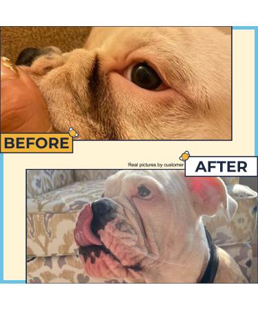 Bulldog Wrinkle+Wipes: Rash Treatment for French Bulldog, Pug, English Bulldog - Cleans Tail Pockets, Paw Balm, Tear Stain Remover - Skin Soother Pack of 2 - Buy Online on GoSupps.com