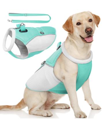 Hjyokuso cool vest dogs cooling vest for dogs with dishes for summer dogs cooling vest for small medium and large dogs cooling jacket for dog cooling jacket for activities outside Training XL blue