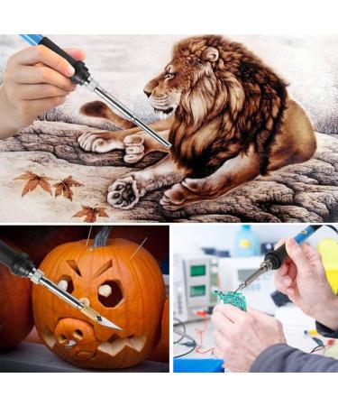 23Pcs Pyrography Wood Burning Tips Kit for Embossing & Carving - Ideal for Adults, Beginners & DIY Projects - Buy Online on GoSupps.com