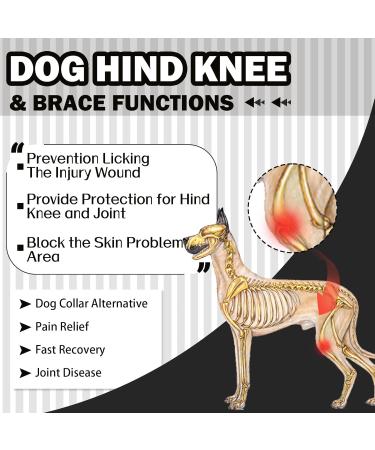 HJYOKUSO Recovery Suit for Dogs - XXL Black Surgery & Hind Leg Protection | Leak Cuff & Licking Prevention - Buy Online on GoSupps.com