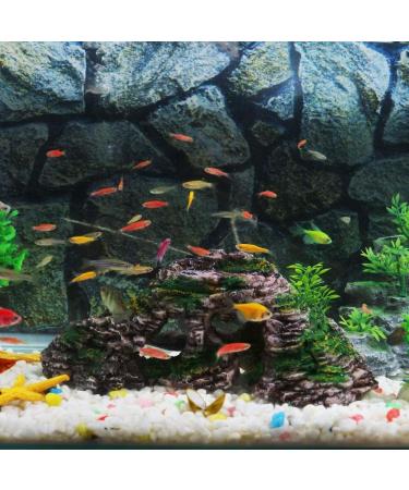 Buy Ctpeng Aquarium Cave Decoration for Betta & Cichlids - Slate Scape Ornament (23cm x 10.5cm x 7.2cm) | International Shipping Available - Buy Online on GoSupps.com