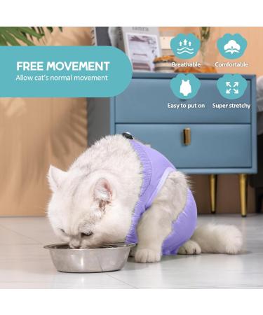 Avont Katzenbody | Post-Op Recovery Suit for Cats | Leak Protection | Lavender S | Ideal for Castration Spay Wound & Skin Disease Care - Buy Online on GoSupps.com