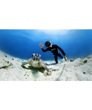 Buy Insta360 X3 Invisible Dive Case - Best Waterproof Accessory for Underwater Adventures | International Shipping Available - Buy Online on GoSupps.com