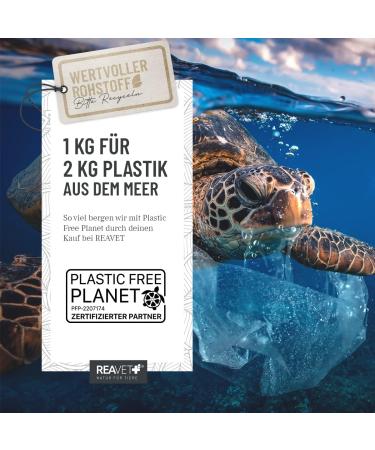 ReaVET Monk Pepper for Horses 1 kg Whole Seeds I Pure Natural Monk Pepper Premium Quality Species-Adapted Feed for Horses Herbs Without Additives - Buy Online on GoSupps.com