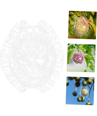 GANAZONO Shaped Growth Mold Fruit Vegetable Growing Mold Small Shaper Molds Shaping to Play with Maitreya - Buy Online on GoSupps.com