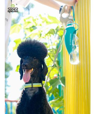 BePetMia Portable Dog Water Bottle - 580ml Travel Bottle with Drinking Bowl Lid - Silicone Outdoor Pet Hydration (Green) - Buy Online on GoSupps.com