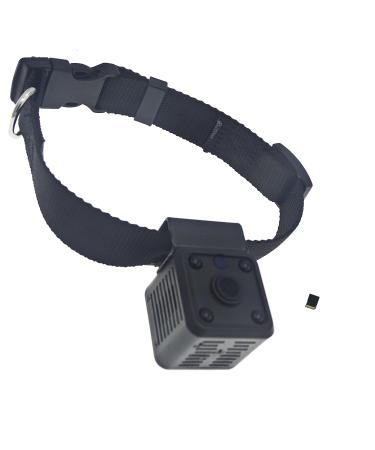 New Wireless Rechargeable WiFi 1MP 720P HD Digital Pet Collar Camera Recorder Tracker for Dog Behavior Observation with Night View Function (Black Cam, with 32GB TF Card) - Buy Online on GoSupps.com