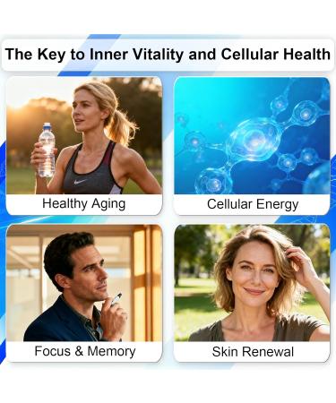 FULKELP NAD Patches for Women and Men 8 Hour Time-Release for Cellular Energy & Focus A New Kind of NAD Supplement with Nicotinamide Riboside Resveratrol CoQ10 30 Patches - Buy Online on GoSupps.com