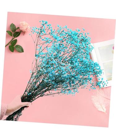 2pcs Plant Decor Gifts Dried Flowers The Gift Dried Flower Decor Creative Preserved Flower Preserved Flower Decor Romantic Preserved Flower Artificial Gypsophila Bluex2pcs 60X20cmx2pcs - Buy Online on GoSupps.com