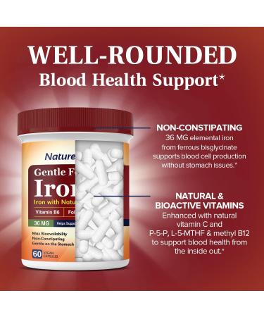 NatureMyst Iron Complex 36mg - Non-Constipating Formula with 4 Bioactive Vitamins - 60 Veggie Capsules - Blood Building, Heart Health, Energy Booster - Non-GMO, Gluten Free - Buy Online on GoSupps.com