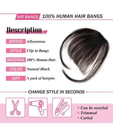 Allyreetress Clip in Bangs Clip in Hair Extensions Clip on Bangs Wispy Bangs Fringe with nice net Natural Flat neat Bangs Temples Hairpieces for Women Curved Bangs for Daily Party (Black Brown) Black Brown# - Buy Online on GoSupps.com