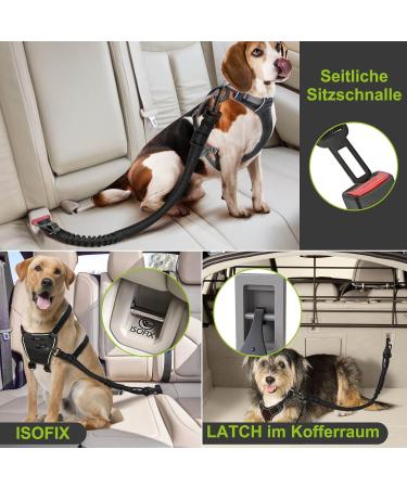 Premium Dog Seat Belt Set - Adjustable Car Safety Harness for Small & Large Dogs | 2-Piece Taval Stroke Belt for Back Seat Isofix - Buy Online on GoSupps.com