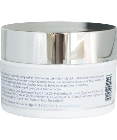 Kalaya Naturals Wonder Salve (Pack of 2) 22g (Pack of 2) - Buy Online on GoSupps.com