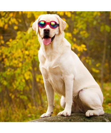 Luckxing Dog Sunglasses - UV Protection & Windproof Puppy Glasses for Medium Dogs - Adjustable Strap & Stylish Red Motorcycle Design - Buy Online on GoSupps.com