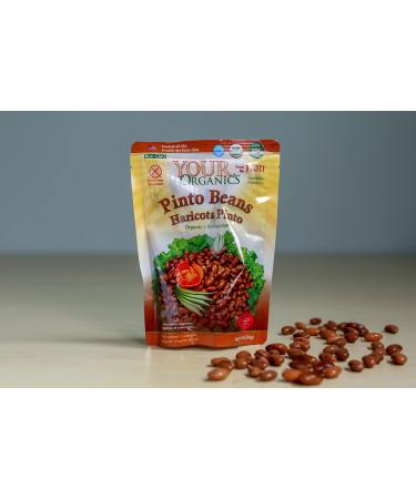 Your Organics Pinto Beans by Jyoti, 6 pouches of 10 oz each, All Natural, Product of USA, Gluten Free, Vegan, BPA Free, NON - GMO, Low Salt